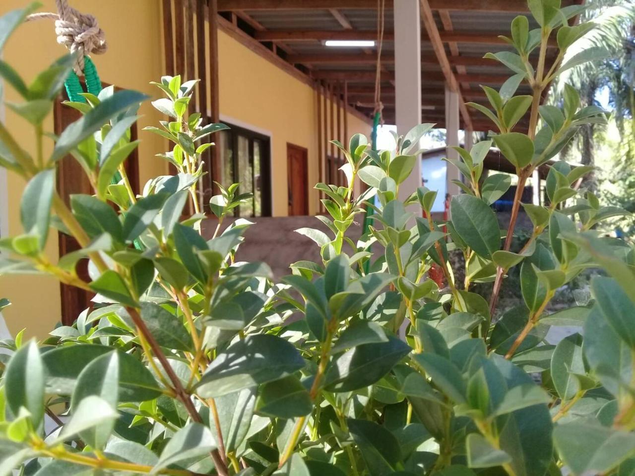 Hotel Som Palmgarden Ko Lanta Exterior foto